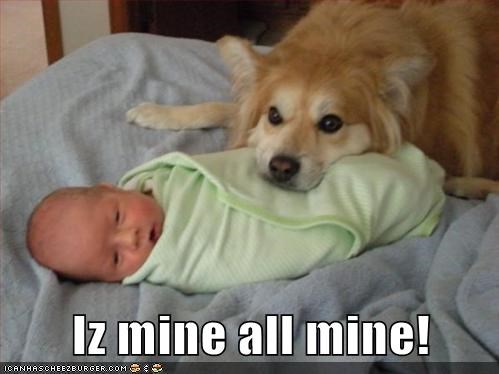 Nawt Furry Enuff, But I Still Loves Him!