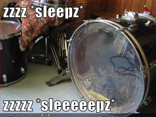 zzzz *sleepz*  zzzzz *sleeeeepz*