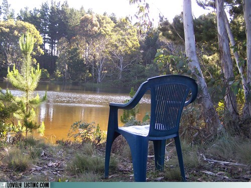 Chairturday: A Moment, Just a Moment