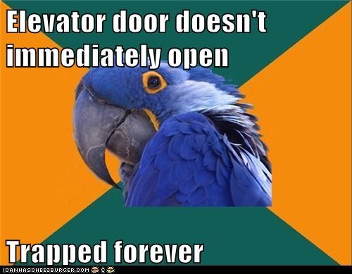 Animal Memes: Paranoid Parrot - There Have Been Worse Tombs