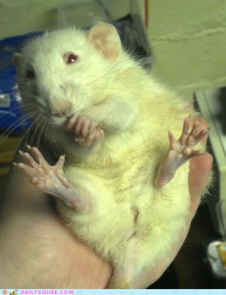 This is My Tummy