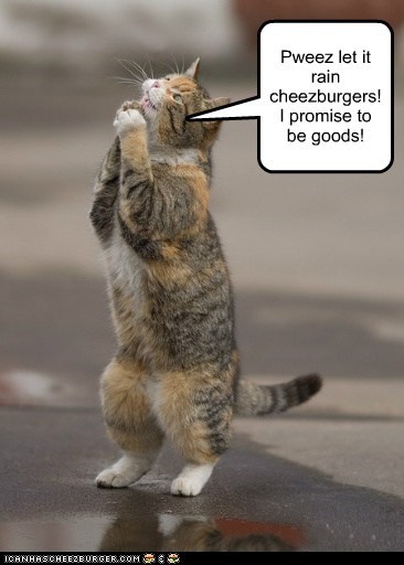 Pweez let it rain cheezburgers! I promise to be goods!