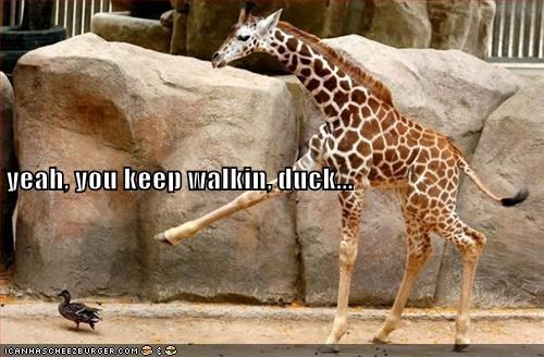 Don't Try Any Funny Stuff!