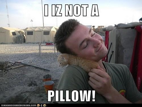 I IZ NOT A   PILLOW!