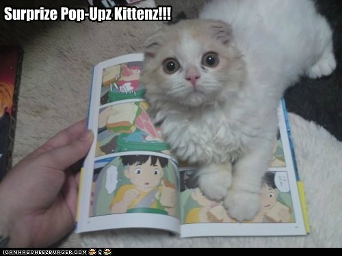 Pop-up Kitten