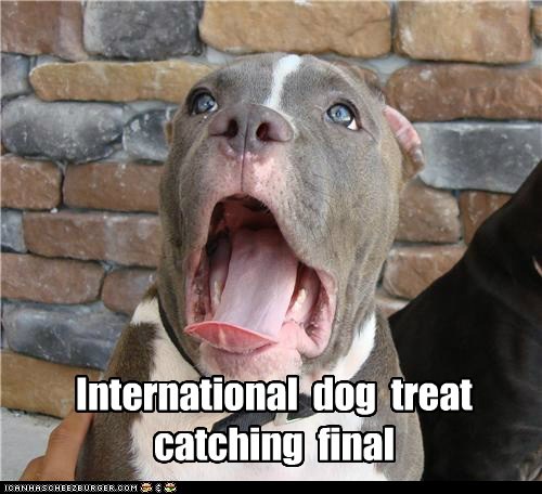 Just throw the noms ova here!