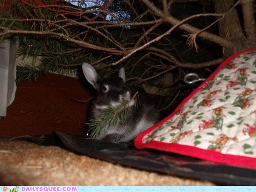 Reader Squees: Don't Throw it Out Yet!