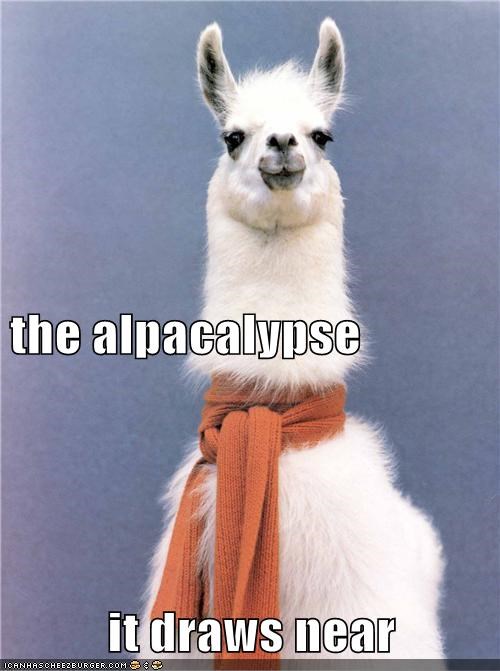 the alpacalypse it draws near
