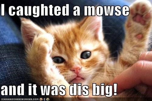 I caughted a mowse  and it was dis big!