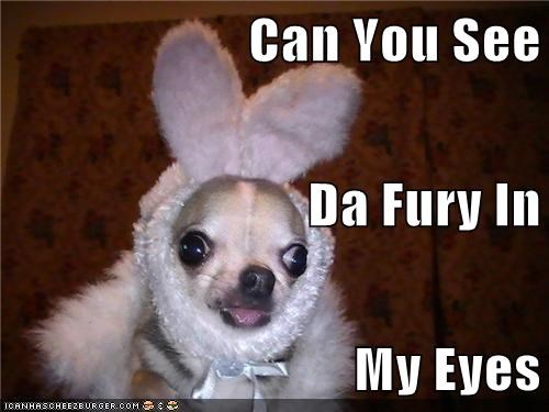 Can You See Da Fury In My Eyes