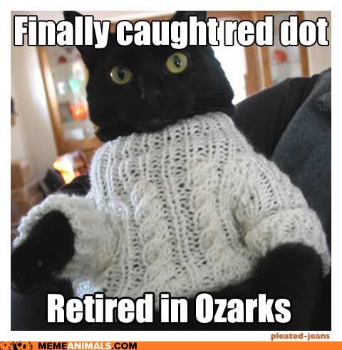 The Futures of 2011's Biggest Animal Memes