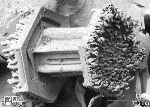 Magnified Snowflake WIN