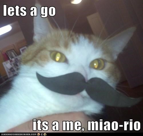 lets a go  its a me, miao-rio