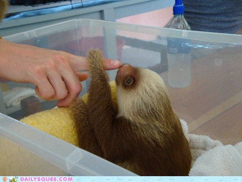Squee Spree: Your Finger Seems Friendly!