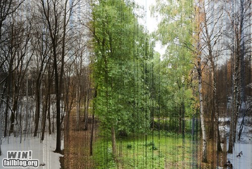 Composite One-Year Photo WIN