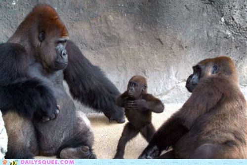 Acting Like Animals: I Will Take the Ring to Mordor!