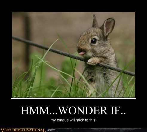 HMM...WONDER IF..
