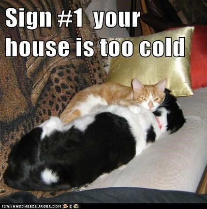 Sign #1  your house is too cold
