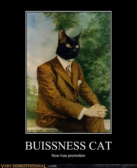 BUISSNESS CAT