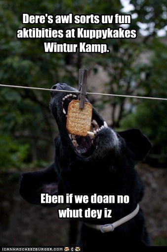 Kamp Kuppykakes Winter.