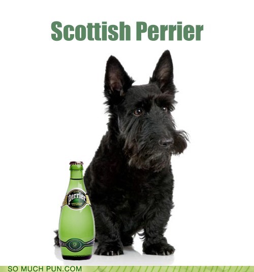 Is it Spiked With Scotch?