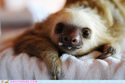 Squee Spree: Milk Mustache