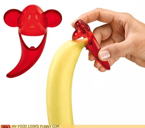 Naughty Monkey!