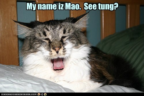 My name iz Mao.
