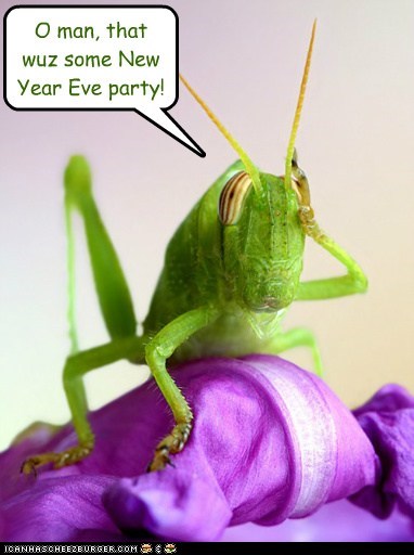 O man, that wuz some New Year Eve party!