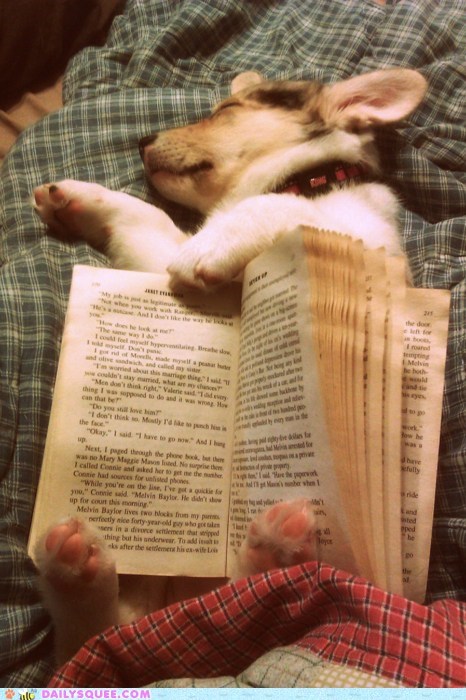 Man's Best Bookmark