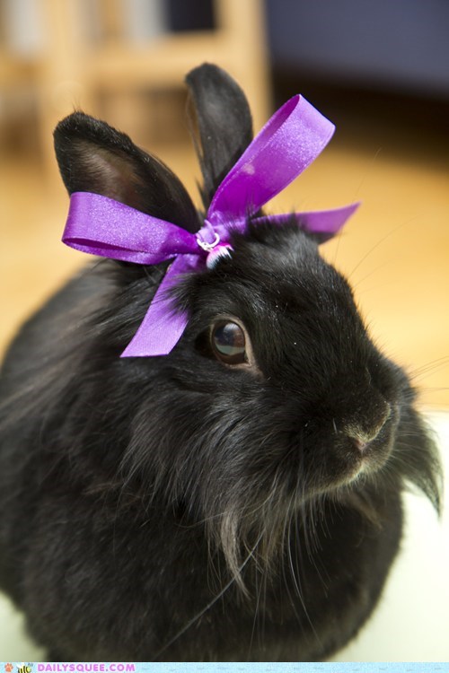 I Feel Pretty!
