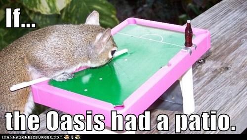 If...  the Oasis had a patio.
