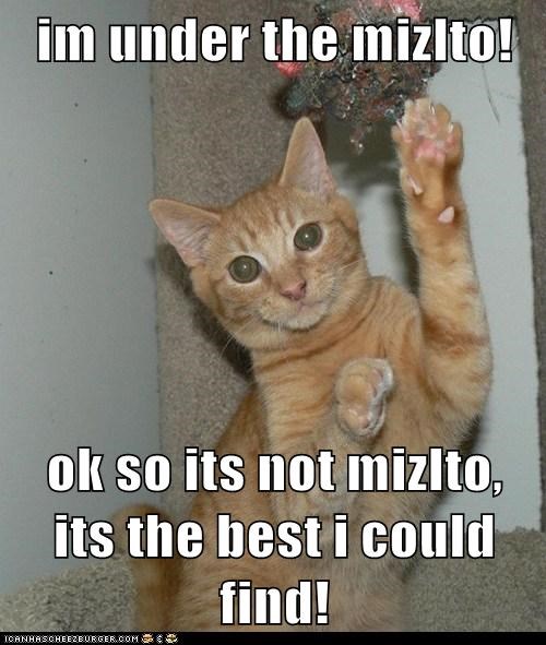 im under the mizlto!  ok so its not mizlto, its the best i could find!