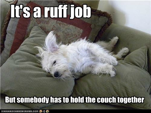 It's a ruff job But somebody has to hold the couch together