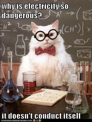 Chemistry Cat: So You'd Best Insulate Yourself
