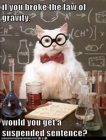 Animal Memes: Chemistry Cat - You'll Have to Weight
