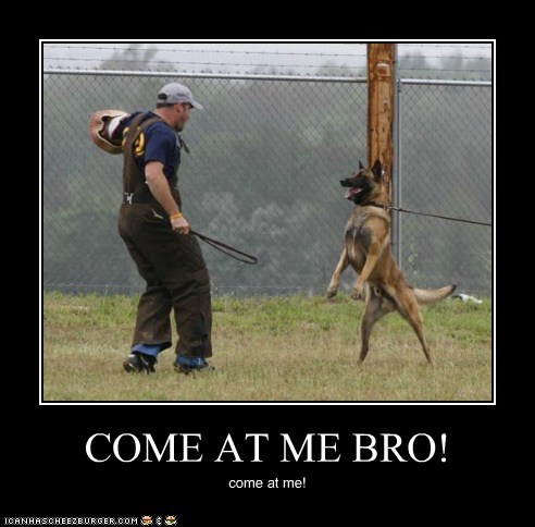COME AT ME BRO!