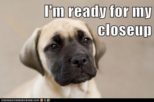 I'm ready