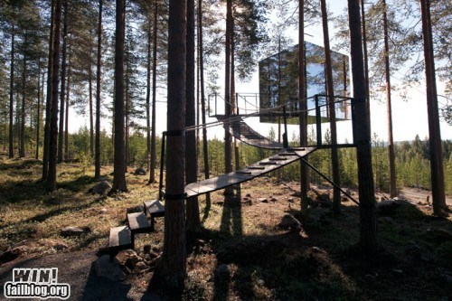 Tree Hotel WIN