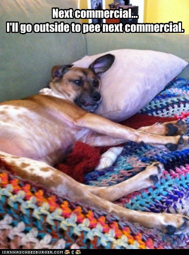 Just too comfy...
