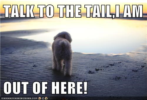 TALK TO THE TAIL,I AM   OUT OF HERE!