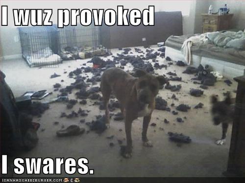 I wuz provoked  I swares.