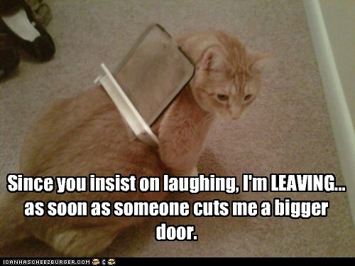 Since you insist on laughing,