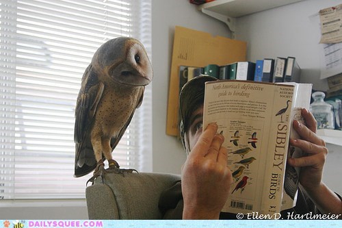 Acting Like Animals: Ugh, That Photo of Me is SO Unflattering!