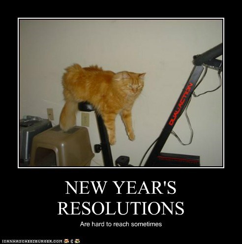 NEW YEAR'S RESOLUTIONS