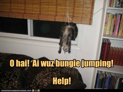 Let meh re-finks dis!