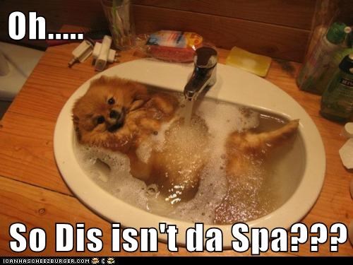 Oh.....  So Dis isn't da Spa???