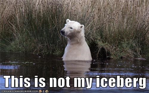 This is not my iceberg