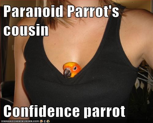 Paranoid Parrot's cousin