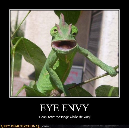 EYE ENVY
